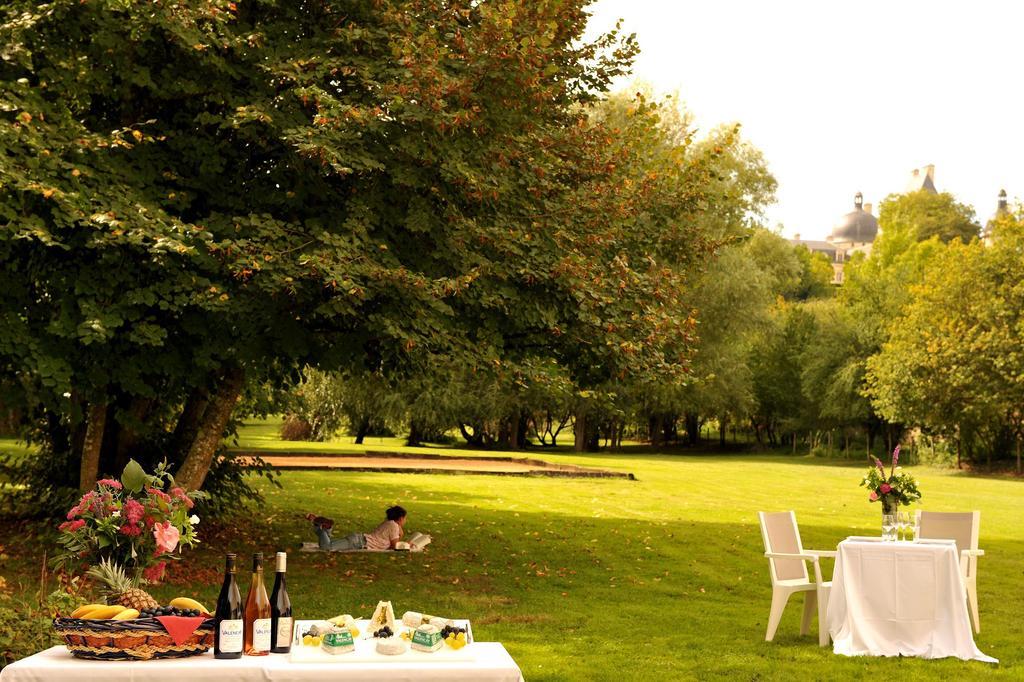 Logis Hotel Le Relais Du Moulin Valençay Εξωτερικό φωτογραφία